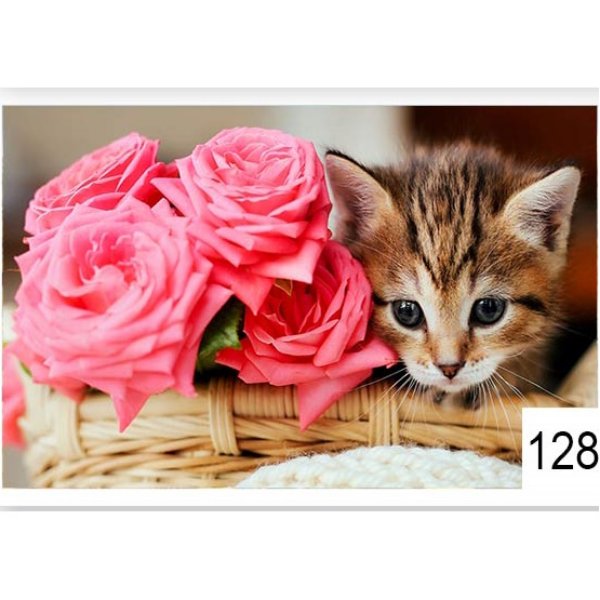 Immagine di NESTAZEJ128