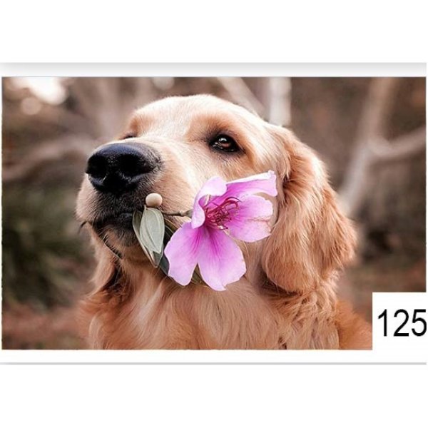 Immagine di NESTAZEJ125